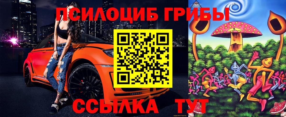 Галлюциногенные грибы прущие грибы Корсаков