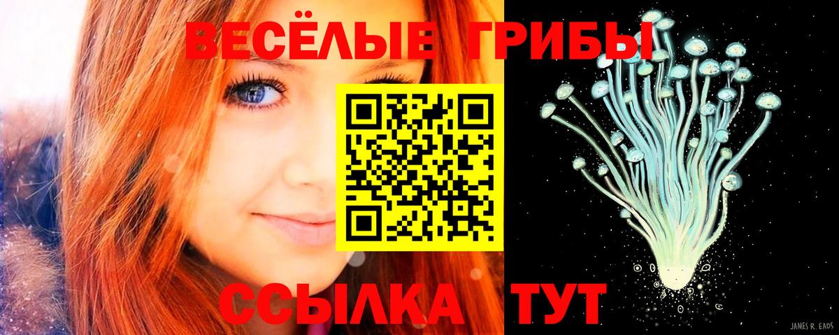 Галлюциногенные грибы мицелий Корсаков