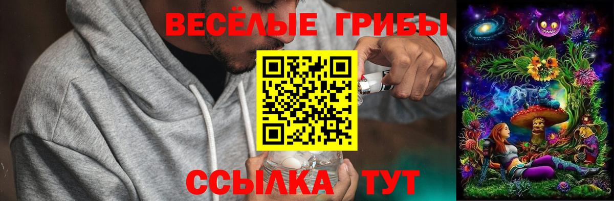 Галлюциногенные грибы мицелий  Вход с VPN  Корсаков 